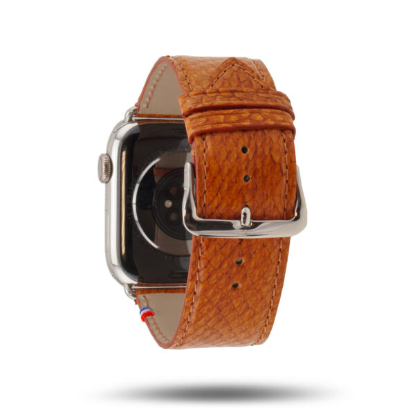 Apple Watch Eternel Horizon aurore buckle