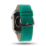 Apple Watch band Horizon emerald buckle