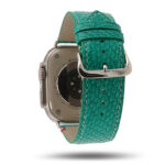 Apple Watch Band Ultra Emerald Horizon buckle